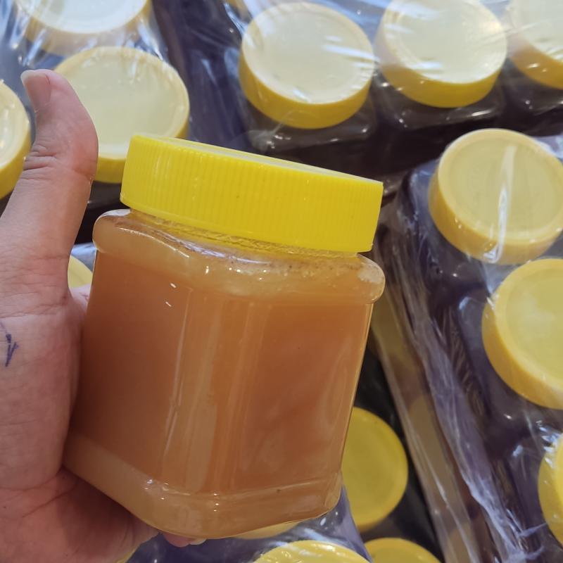 عسل خام گون از دامنه سبلان | عسل رست گون