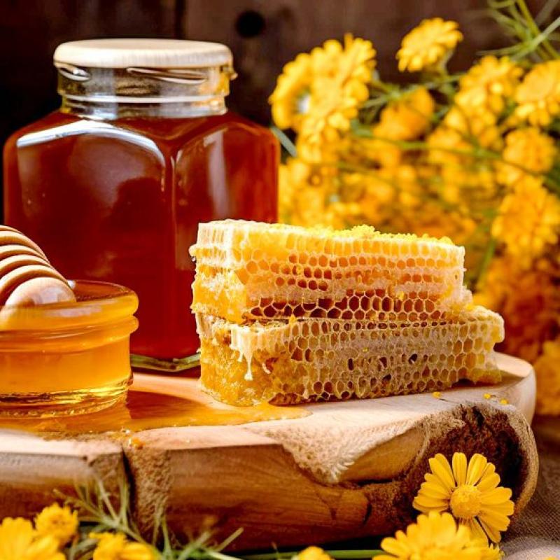 خرید عسل طبیعی سبلان سرعین | طلای ناب و درمانگر کوهستان اردبیل