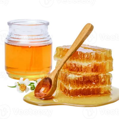 عسل چهل گیاه سبلان
